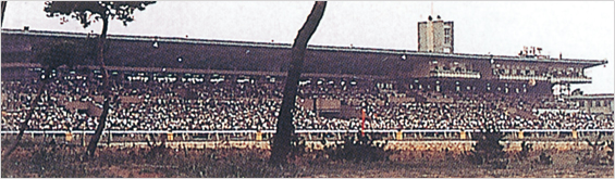 昭和40年頃の新潟競馬場スタンド