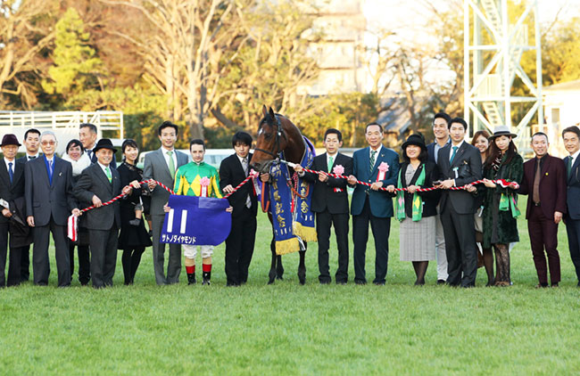 重賞レース 16 一般社団法人 新潟馬主協会